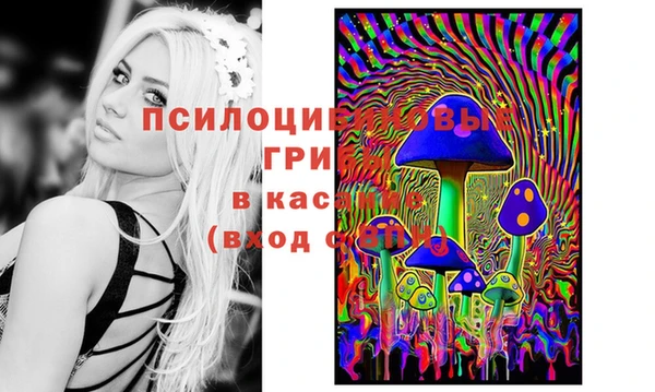 кокс Нефтегорск