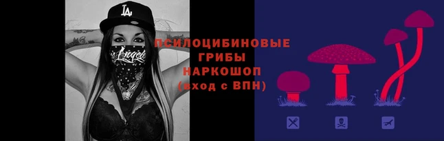 дистиллят марихуана Баксан