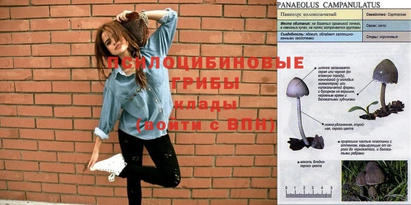 дистиллят марихуана Баксан